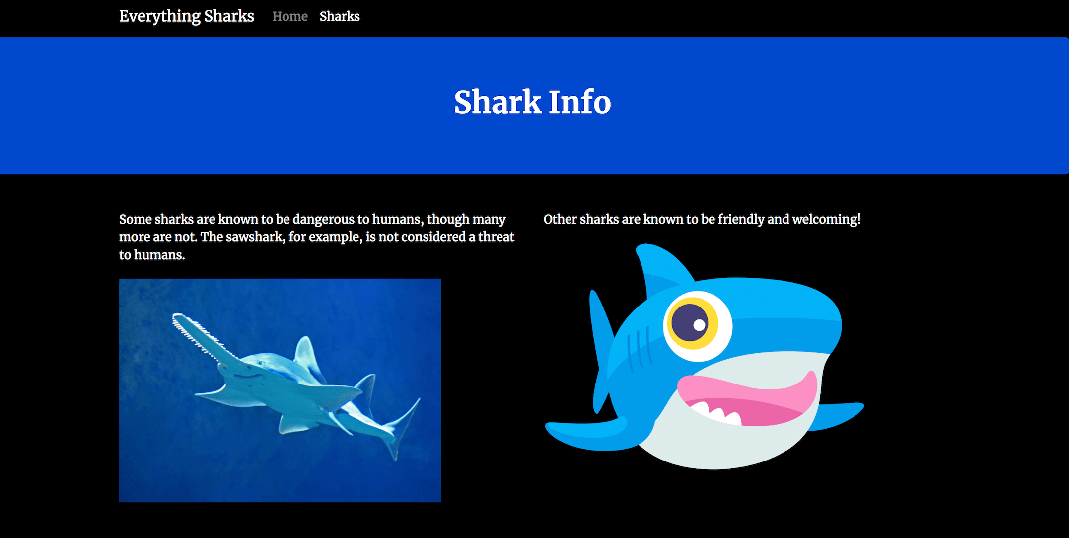 Everything Sharks-Info